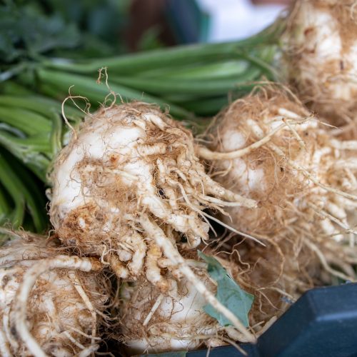bunch of young celery root at the market stall a small bunch of young celery root at the market stall
