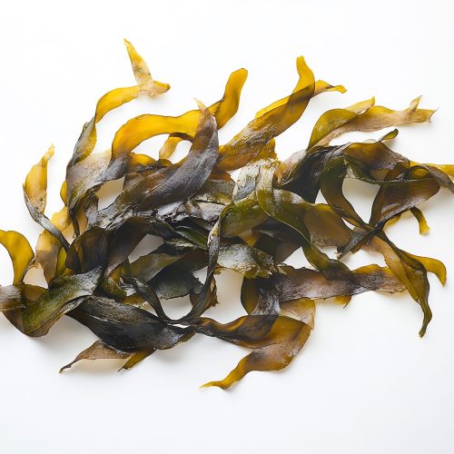 group-seaweeds-with-word-seaweed-them group-seaweeds-with-word-seaweed-them